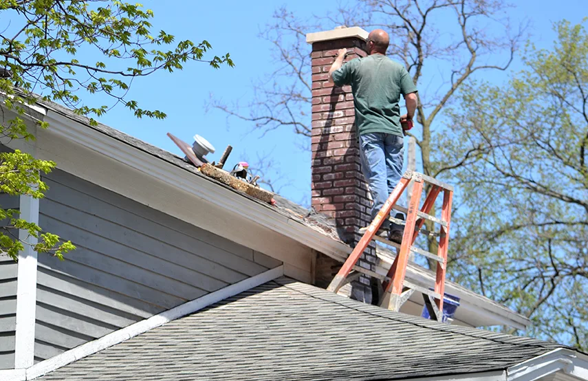 Chimney & Fireplace Inspections Services in La Crosse, WI
